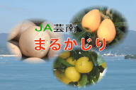 JA芸南まるかじり