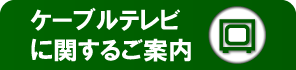 �P�[�u���e���r�Ɋւ��邲�ē�