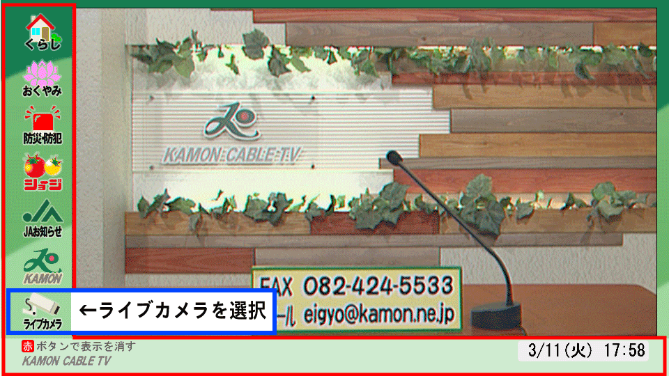 ライブカメラ画像