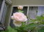}_AtbhLG[i2008.5.9j